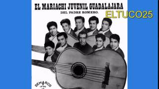 Mariachi Juvenil de Guadalajara El Garabato [upl. by Hadsall]