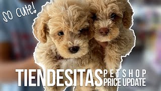 TIENDESITAS PET VILLAGE PRICE UPDATE  A new playmate for Gucci [upl. by Ardnassak]