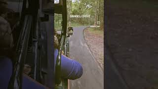 Dandeli safari shot [upl. by Claresta]