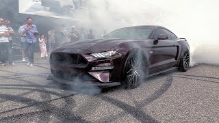 Ford Mustang 50 V8 Royal Crimson GT  BRUTAL Revs Burnout Accelerations [upl. by Lumbye664]