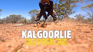 Chunk of Kalgoorlie Gold  Prospecting  GPX 6000  GPZ 7000 [upl. by Ebner]