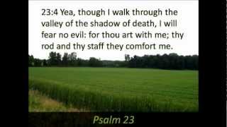 Psalm 23  Hear and Read the Full Text  Valley Shadow Death [upl. by Bernadette996]