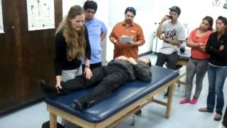 PNF Strengthening D1 and D2 Lower Extremity Flexion and Extension [upl. by Abrams]