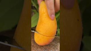 Mango Watermelon And Others Fruit Cutting । [upl. by Ylrebnik]