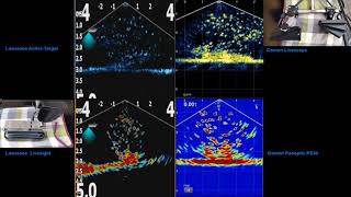 ActiveTarget vs Livesight Livescope vs PS30 [upl. by Yelrak674]