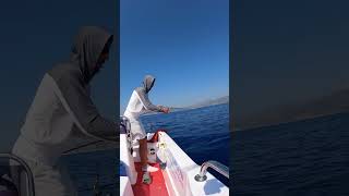 jigging style fishing shimanofishing fyp [upl. by Piper591]