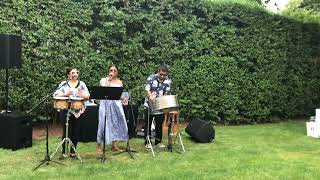 Kutterzband Backyard Party In the Hamptons NY [upl. by Teferi]