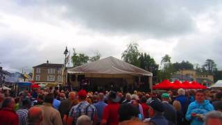 Declan Nerney  Stop the World Tubbercurry Old Fair Day 2013 [upl. by Pergrim851]