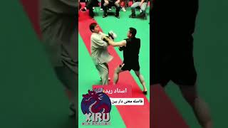 Mestre de kungfusão e grão mestre um finjutsu oss mma meme [upl. by Charlean341]