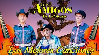 Trio Amigos De La Sierra  Las Mejores Canciones  Corridos y Rancheras Viejitas [upl. by Assyli545]