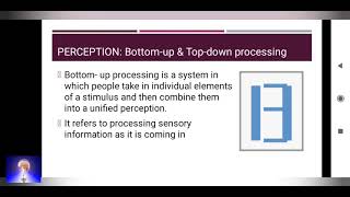 Perception  Bottom up and Topdown Processing [upl. by Hurwitz]