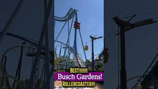 Best Busch Gardens Rollercoaster Griffon Dive Coaster Busch Gardens Williamsburg [upl. by Turner135]