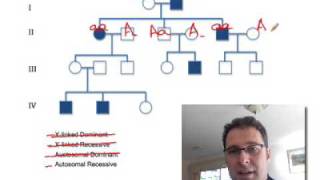 Pedigree Analysis 1 How to solve a genetic pedigree No 1 [upl. by Ayyidas104]