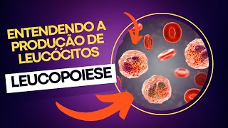 Leucopoiese hematologia curiosidades [upl. by Ahsenek]