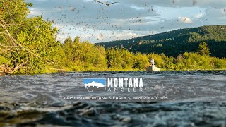 Fly Fishing Montanas Early Summer Hatches [upl. by Yarised]