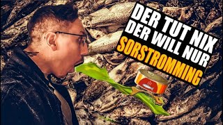 Wir testen den bekanntesten Fisch auf Social Media SURSTRÖMMING mit ThatsMESascha 4K [upl. by Maddy385]