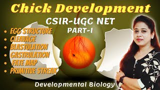 Chick Development Part1 Egg Structure  Cleavage  Blastulation  Gastrulation  Primitive Streak [upl. by Iolanthe]