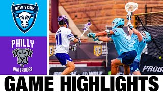 New York Atlas vs Philadelphia Waterdogs Highlights  2024 Premier Lacrosse League [upl. by Akenn]