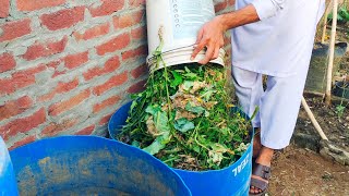 Create a GardenFriendly OdorFree Compost Bin in Any Shady Space [upl. by Uriah]