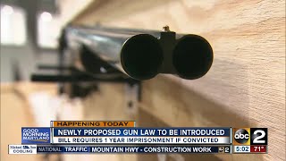 New gun law to be introduced requiring 1 year minimum sentence for illegal handguns [upl. by Leahcimnaes]