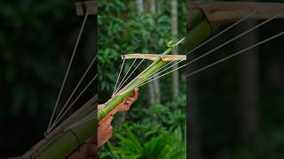 Bamboo creations with three archer and bamboo Bamboo Slingshots Bambooart Diy [upl. by Malachy]