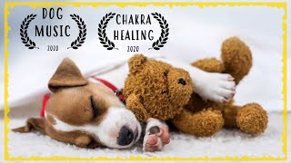 Calming Music For Dogs  Soothing Music for Dogs to relax  Dog Music to Sleep [upl. by Nivar]