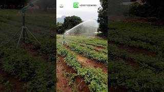 Installation of sprinkler irrigation system yuzuak jet 40 rainguntast kilimo agribusinesstz [upl. by Halyhs]