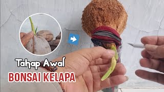 MEMBUAT BONSAI KELAPA MUDAH DAN SIMPEL [upl. by Yehudit]