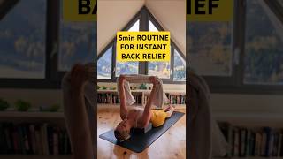 Instant Back Pain Relief Exercises Try These [upl. by Nylrebma]