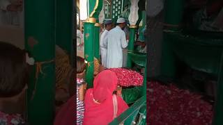 Hazrat Sabir Pak Ki sabirpaak pirankaliyar shortvideos viral [upl. by Bathelda]