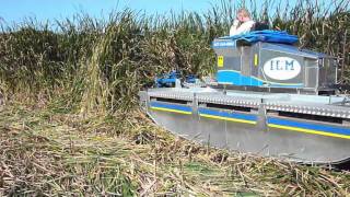 Truxor DM 5000 Cutting Cattail  Integrated Lakes Management [upl. by Polard216]