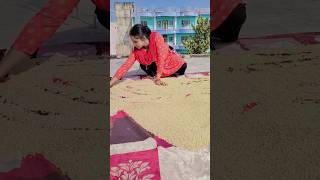 kekrasehampiswaebdhowalgehuwapreparation of Chhath puja🙏❤️ plzsubscribemychannel [upl. by Ereynihc]