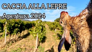 CACCIA ALLA LEPRE  Apertura 2024 [upl. by Ahgiela]