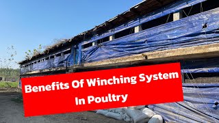 Benefits Of Winching System In Poultry poultry dailyvlog poultryfarming 2024 trending chicken [upl. by Aivital]