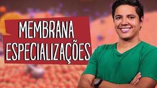 ESPECIALIZAÇÕES DA MEMBRANA PLASMÁTICA  CITOLOGIA  Prof Kennedy Ramos [upl. by Tereve]