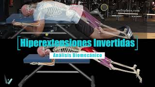 HIPEREXTENSIONES INVERTIDAS  Análisis biomecánico  WeFitPlace  Aprendiendo gym  Glúteo [upl. by Yazbak]