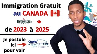 Le nouveau programme gratuit dimmigration au canada comment postuler au canada sans diplôme [upl. by Itra]