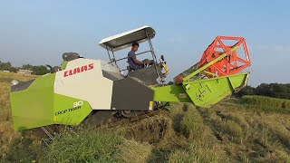 New Harvester  CLAAS Crop Tiger 30 Amazing Performance  Price Specifications  Mighty Automotives [upl. by Gnes]