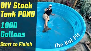 Most Versatile Pond  Fish Keeping on a Budget [upl. by Colis989]