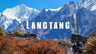 Trekking to Langtang and Kyanjin Gompa Valley in Nepal  Travel Video [upl. by Smail]