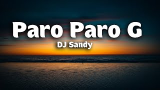 DJ Sandy  Paro Paro G Lyrics TikTok Remix  fly high butterfly paro paro g [upl. by Illek]