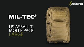 MilTec MOLLE US Assault Pack Large [upl. by Gold]