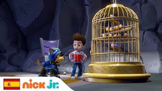 Los Pájaros Cantores Vuelven a Casa  Patrulla Canina  Nick Jr España [upl. by Retsub]