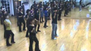 We No Speak Americano  Line Dance Demo amp Walk Through [upl. by Floeter379]