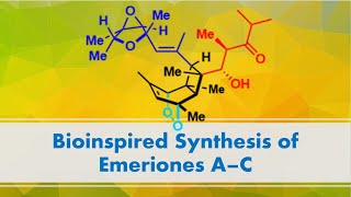 Bioinspired Synthesis of Emeriones A–C [upl. by Annemarie]