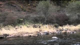 Kalama River SW Washington state [upl. by Saunders]