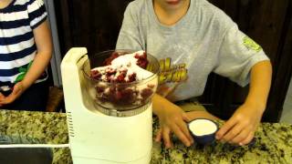 How to make Raspberry Sorbet in 3 Minutes [upl. by Ingraham30]