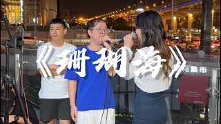 街头！达文西和十四姐合唱周杰伦的《珊瑚海》“海鸟跟鱼相爱，只是一场意外” [upl. by Gypsie]