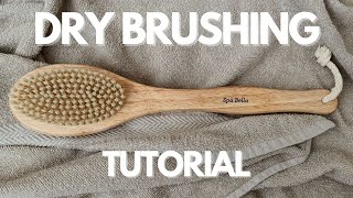 Dry Brushing Tutorial [upl. by Narcis221]