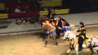 Types of Horses in Jousting [upl. by Ettennahs]